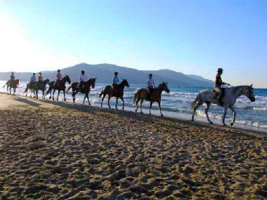 Villa in chania (Chania) or holiday homes and vacation rentals