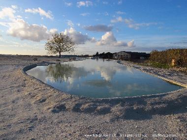 Hor spring in Viterbo (5 km far from the apartment)