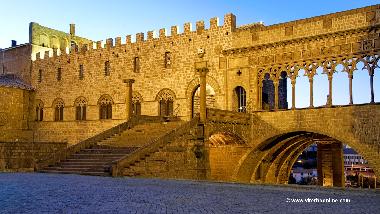 Palazzo dei papi - Pope Palace (10 minutes walk from the apartment)