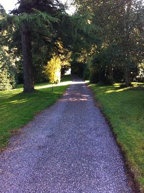 The drive