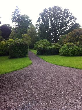 The drive and the parkland 