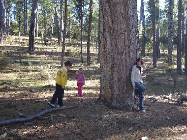 Holiday House in Buenache de la Sierra (Cuenca) or holiday homes and vacation rentals