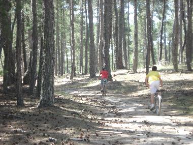 Holiday Apartment in Buenache de la Sierra (Cuenca) or holiday homes and vacation rentals