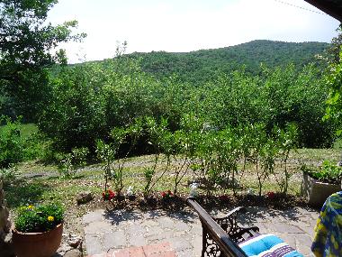 Holiday Apartment in Montecatini Val di Cecina (Pisa) or holiday homes and vacation rentals