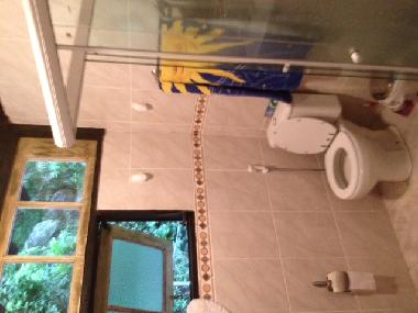 Holiday House in RIO DE JANEIRO (Rio de Janeiro) or holiday homes and vacation rentals