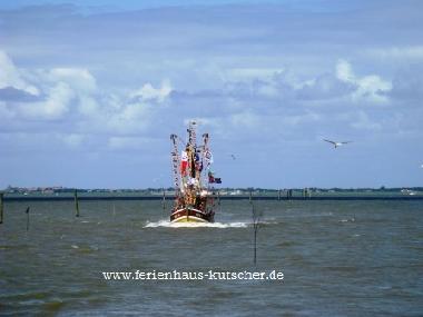 Holiday House in Holtgast (Nordsee-Festland / Ostfriesland) or holiday homes and vacation rentals