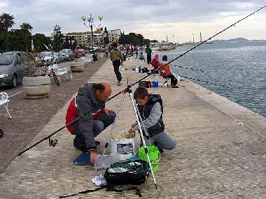 Holiday Apartment in Biograd na moru (Zadarska) or holiday homes and vacation rentals