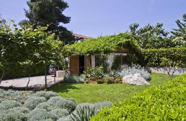 Holiday Apartment in Zadar (Zadarska) or holiday homes and vacation rentals