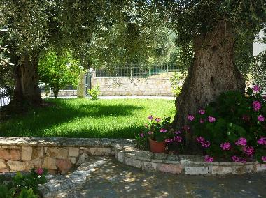 Holiday Apartment in Sivota, thesprotias (Thesprotia) or holiday homes and vacation rentals