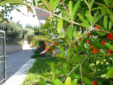 Holiday Apartment in Sivota, thesprotias (Thesprotia) or holiday homes and vacation rentals