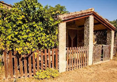 Holiday House in Scansano (Grosseto) or holiday homes and vacation rentals