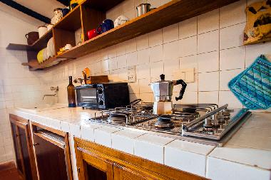 Holiday House in Scansano (Grosseto) or holiday homes and vacation rentals