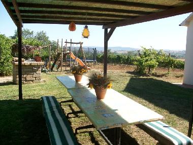 Holiday House in Scansano (Grosseto) or holiday homes and vacation rentals