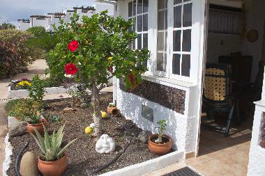 Holiday Apartment in Poris de Abona, Arico, S/C de Tenerife (Teneriffa) or holiday homes and vacation rentals