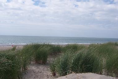 Holiday House in Burgh-Haamstede (Zeeland) or holiday homes and vacation rentals
