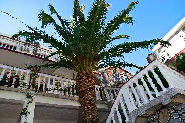 Holiday House in Budva (Montenegro) or holiday homes and vacation rentals