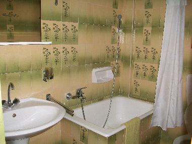 Toilet with bath tub