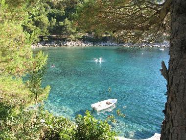 Holiday Apartment in Saplunara (Dubrovacko-Neretvanska) or holiday homes and vacation rentals