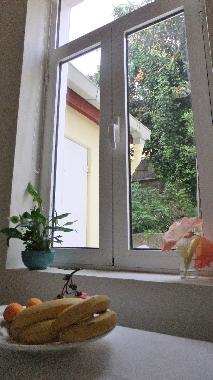 Holiday House in Porto (Norte) or holiday homes and vacation rentals