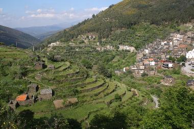 Holiday House in Coja (Serra da Estrela) or holiday homes and vacation rentals