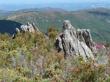 Holiday House in Coja (Serra da Estrela) or holiday homes and vacation rentals