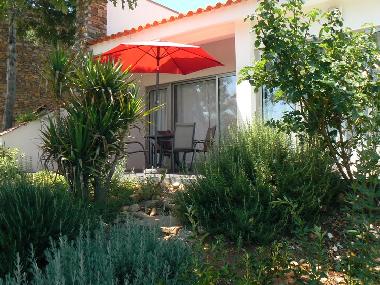 Holiday House in Coja (Serra da Estrela) or holiday homes and vacation rentals