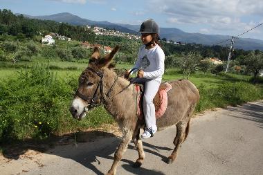 Holiday House in Coja (Serra da Estrela) or holiday homes and vacation rentals