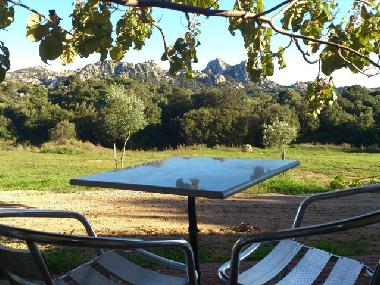 Bed and Breakfast in Arzachena (Olbia-Tempio) or holiday homes and vacation rentals