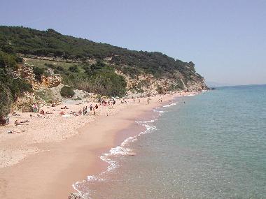 Chalet in Los Caos de Meca (Cdiz) or holiday homes and vacation rentals