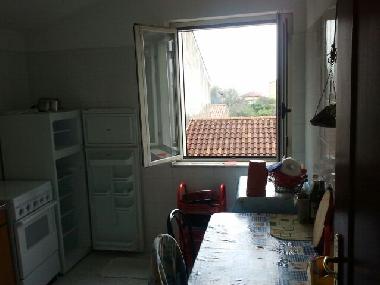 Holiday House in Villammare (Vibonati) (Salerno) or holiday homes and vacation rentals