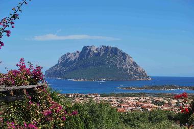 Holiday Apartment in PORTO SAN PAOLO (Olbia-Tempio) or holiday homes and vacation rentals