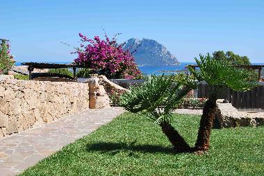Holiday Apartment in PORTO SAN PAOLO (Olbia-Tempio) or holiday homes and vacation rentals