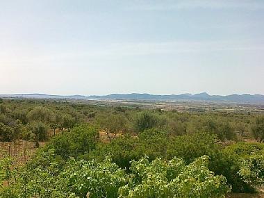 Villa in Sant Jordi (Mallorca) or holiday homes and vacation rentals