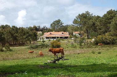 Holiday House in Rogil (Algarve) or holiday homes and vacation rentals