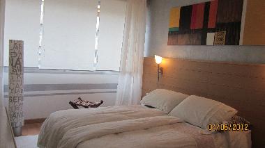 Holiday Apartment in nice (Alpes-Maritimes) or holiday homes and vacation rentals