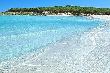 Holiday Apartment in Castellana Grotte (Bari) or holiday homes and vacation rentals