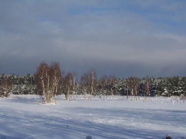 Holiday House in Quitzdorf am See/ OT Stein�lsa (Oberlausitz / Lower Silesia) or holiday homes and vacation rentals