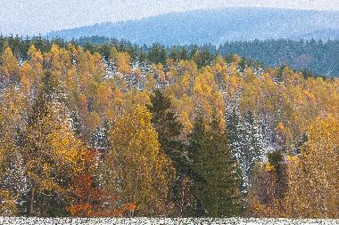 Holiday House in Gieubel (Thuringian forest) or holiday homes and vacation rentals