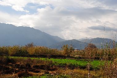 On the way to the supermarket