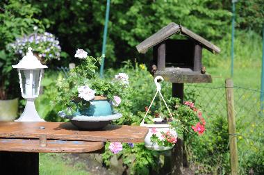 Holiday Apartment in Bad Harzburg (Harz) or holiday homes and vacation rentals