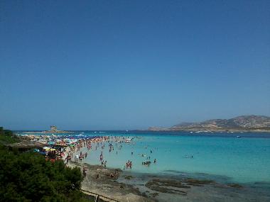 Holiday House in Sassari (Sassari) or holiday homes and vacation rentals