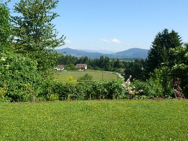 the view behind the house