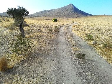 Rodalquilar