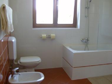 Villa in Zbandaj (Istarska) or holiday homes and vacation rentals