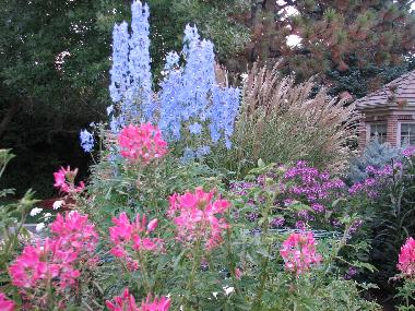 Gardens -3