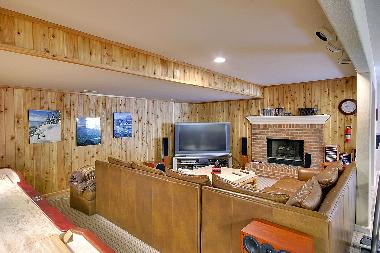 Large Home Theater