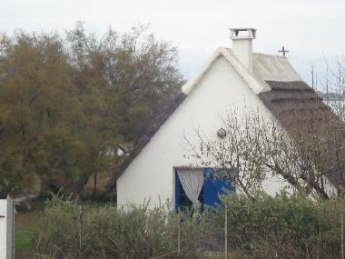 Holiday House in Saintes Maries de la Mer (Bouches-du-Rh�ne) or holiday homes and vacation rentals