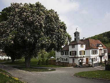 Holiday Apartment in Bad Mergentheim (Taubertal) or holiday homes and vacation rentals
