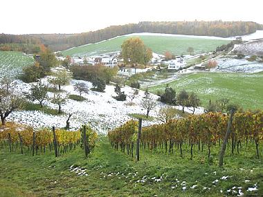 Holiday Apartment in Bad Mergentheim (Taubertal) or holiday homes and vacation rentals