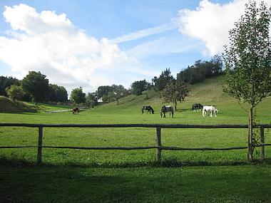Holiday Apartment in Bad Mergentheim (Taubertal) or holiday homes and vacation rentals